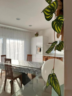 Casa Vacanze Roberta Riccione